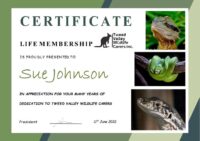 life membership award sue johnson